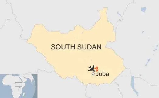 南苏丹一飞机坠毁原因查明了吗？
