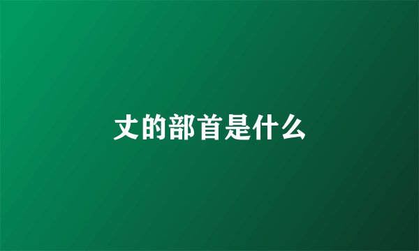 丈的部首是什么