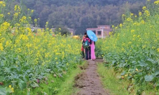 儿童不解春何在，只拣游人多处行是什么意思？