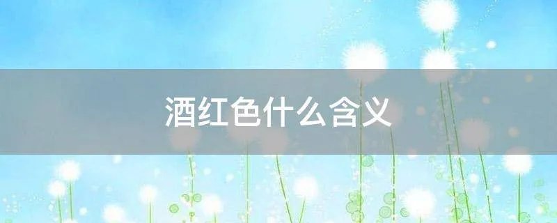 酒红色什么含义