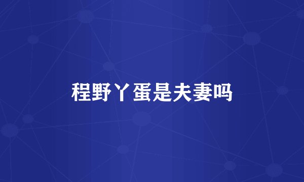 程野丫蛋是夫妻吗