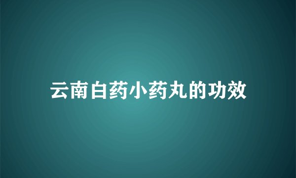 云南白药小药丸的功效