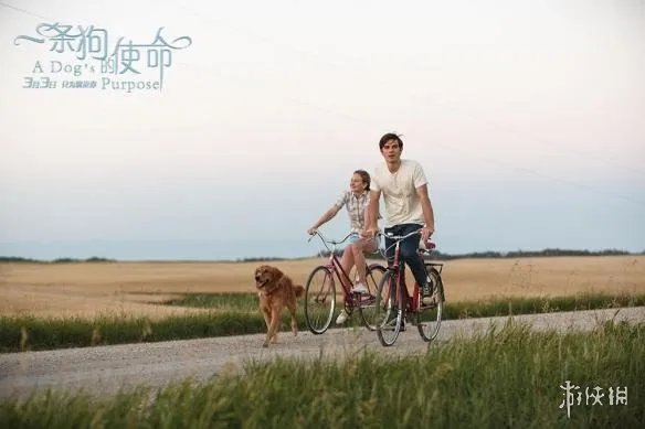 2017被中国拯救的10部好莱坞电影 一眼望去全是烂片!