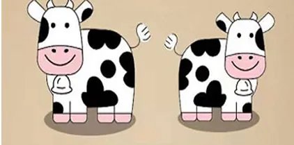 一头公牛加一头母牛打三个字?