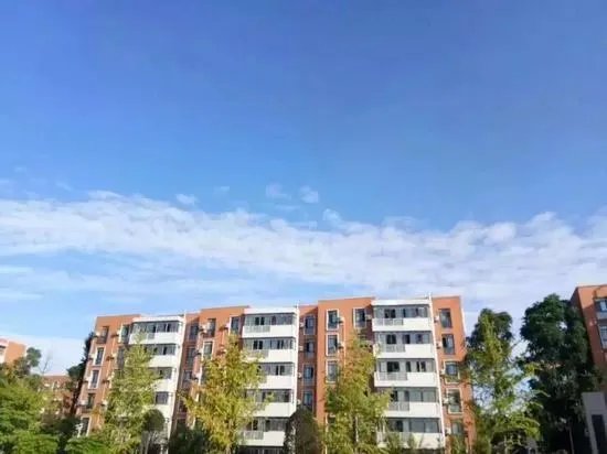 成都大学校长王清远什么级别