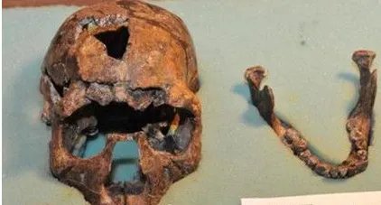 什么是智人?现代智人是从什么人种发展而来的?