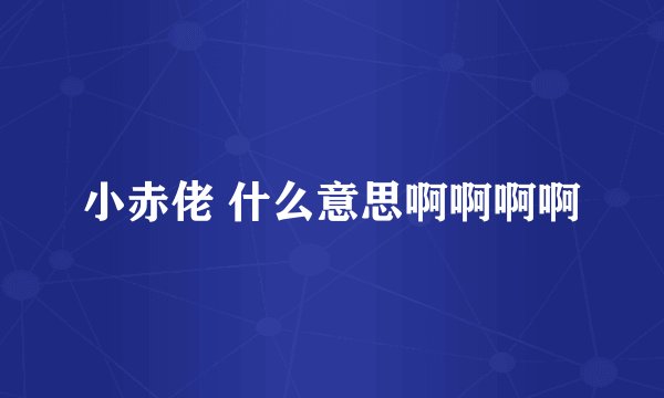 小赤佬 什么意思啊啊啊啊