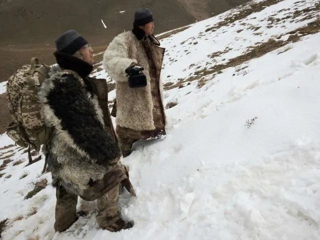 祁连山的生态环境被长期破坏，大家怎么看？