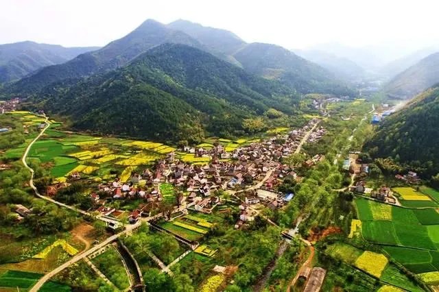 猪价连续下跌九天了，是什么原因造成猪价大跌，何时能上涨？