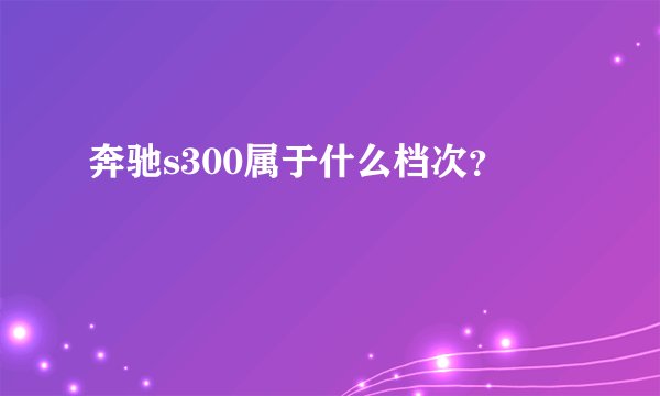 奔驰s300属于什么档次？
