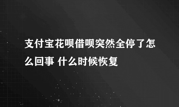 支付宝花呗借呗突然全停了怎么回事 什么时候恢复