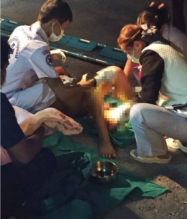 路上生子丈夫接生是怎么回事？