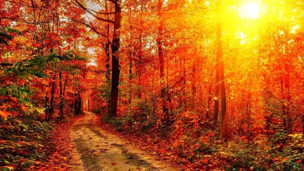 缘分让我们相遇下一句，缘分让我们相遇 这是哪首歌的？