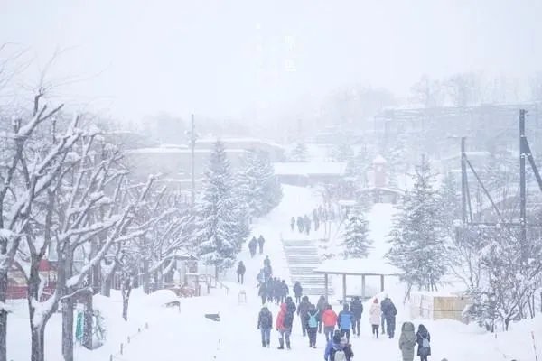 下过大雪过后为什么显得非常寂静?