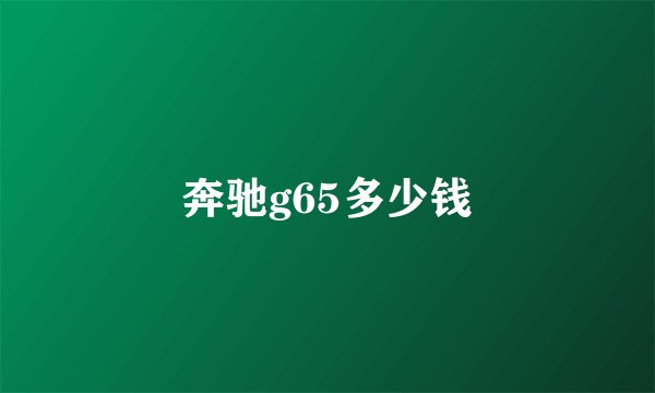 奔驰g65多少钱