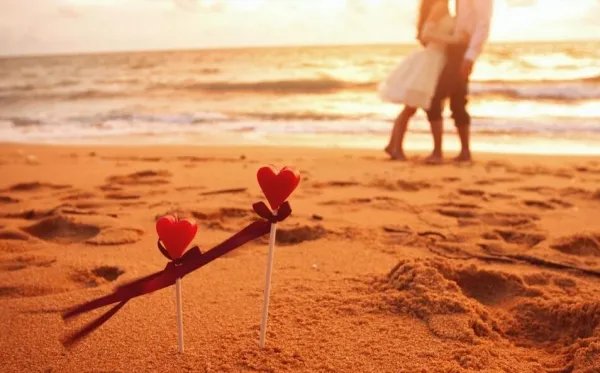 郑爽和张翰为什么最后没走到一起?