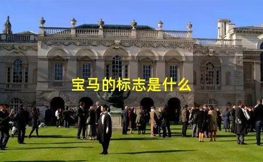 宝马的标志是什么