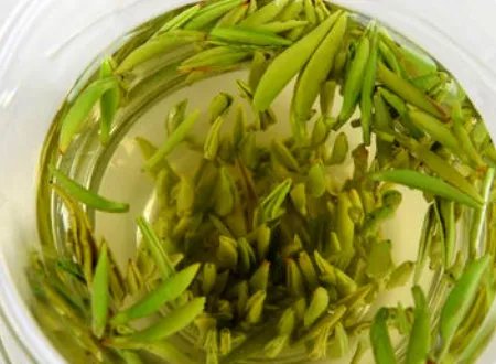 竹叶青专卖店中的宝顶雪芽和重庆的永川秀芽有什么区别？