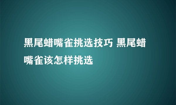 黑尾蜡嘴雀挑选技巧 黑尾蜡嘴雀该怎样挑选