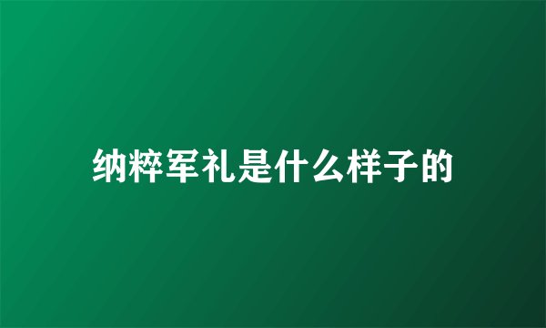 纳粹军礼是什么样子的