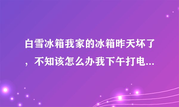 白雪冰箱我家的冰箱昨天坏了，不知该怎么办我下午打电话给售后，他们说一会给我回复一直没回我 ，
