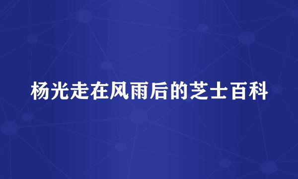 杨光走在风雨后的芝士百科