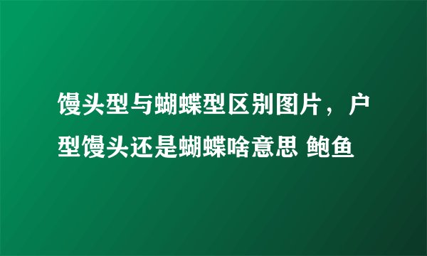馒头型与蝴蝶型区别图片，户型馒头还是蝴蝶啥意思 鲍鱼