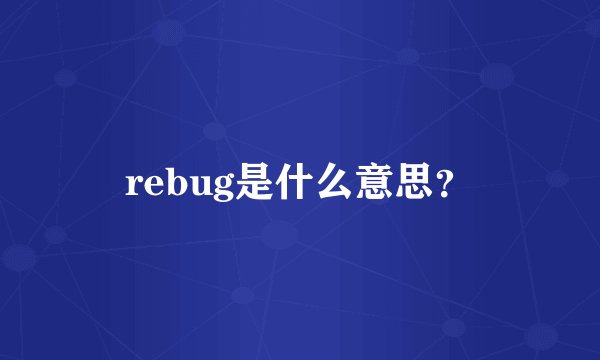 rebug是什么意思？