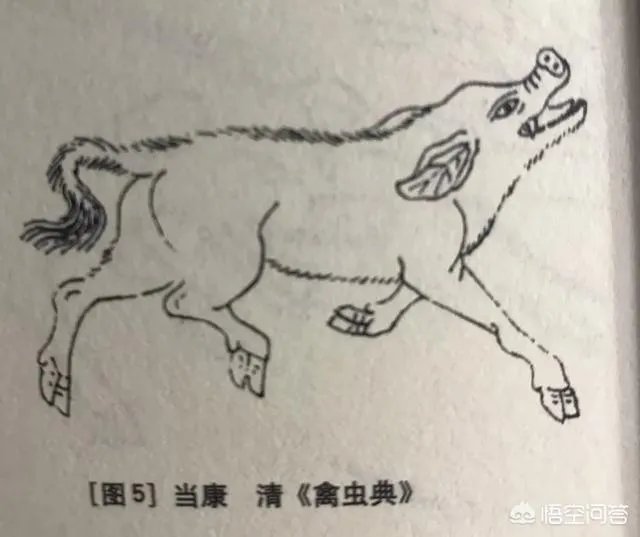 你认为《山海经》里面最强的十大神兽是什么？