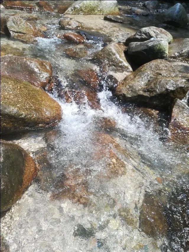 《浪花一朵朵》大结局是什么？