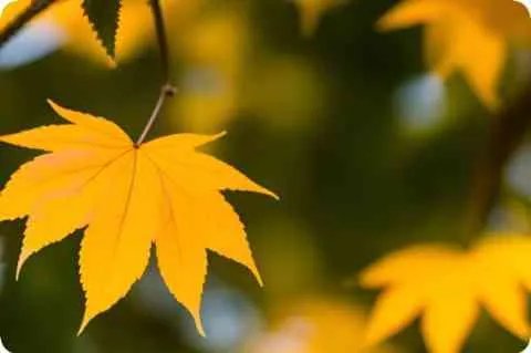 交通银行贷记卡