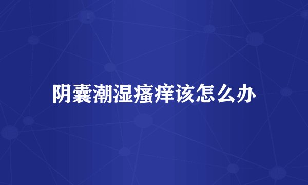 阴囊潮湿瘙痒该怎么办