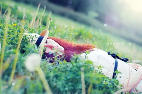 幸福似水流年的介绍