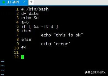shell实例是什么？