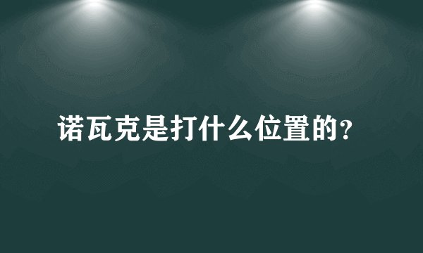 诺瓦克是打什么位置的？