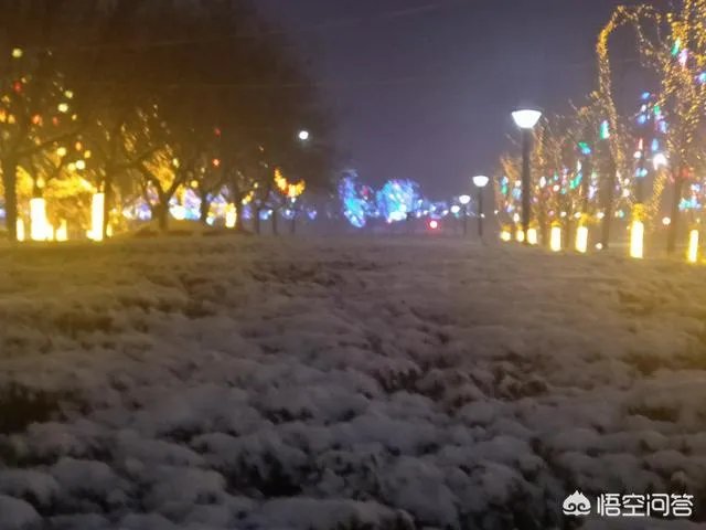 有哪些堆的雪人图片分享？