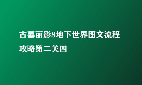 古墓丽影8地下世界图文流程攻略第二关四