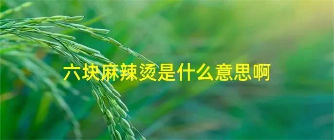 六块麻辣烫是什么意思啊