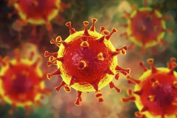 新冠病毒出现了新变种XE，国内出现了吗？加强针还有用吗？