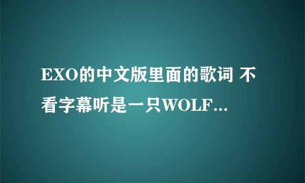 EXO的中文版里面的歌词 不看字幕听是一只WOLF 还是一头WOLF？