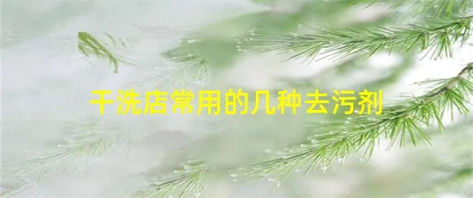 干洗店常用的几种去污剂