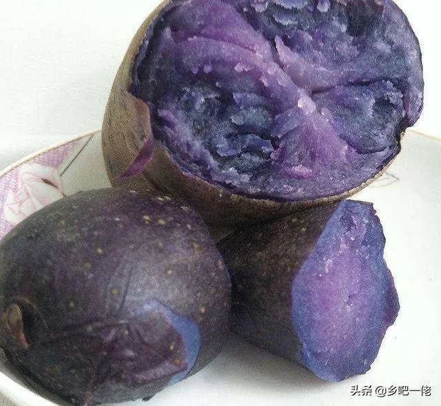 黑土豆有什么生长特性？如何进行种植管理？