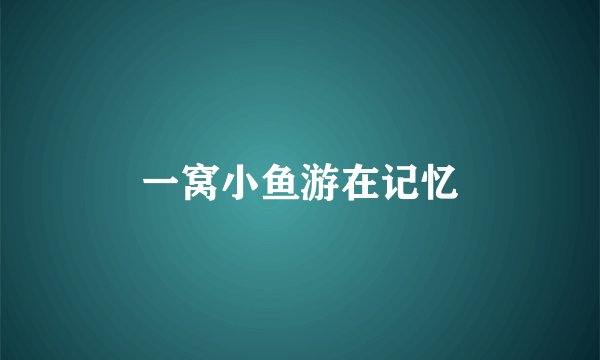 一窝小鱼游在记忆