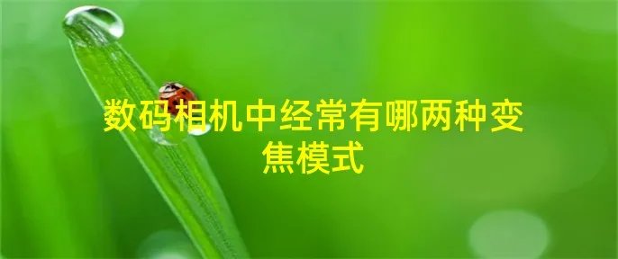 数码相机中经常有哪两种变焦模式