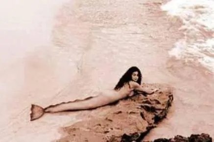 男美人鱼真身吓人图片：丑陋无比（组图）