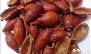 金樱子和山木香有什么区别？