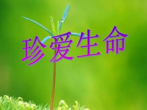 超载小客车坠沟致9死6伤,是司机操作不当造成的吗?