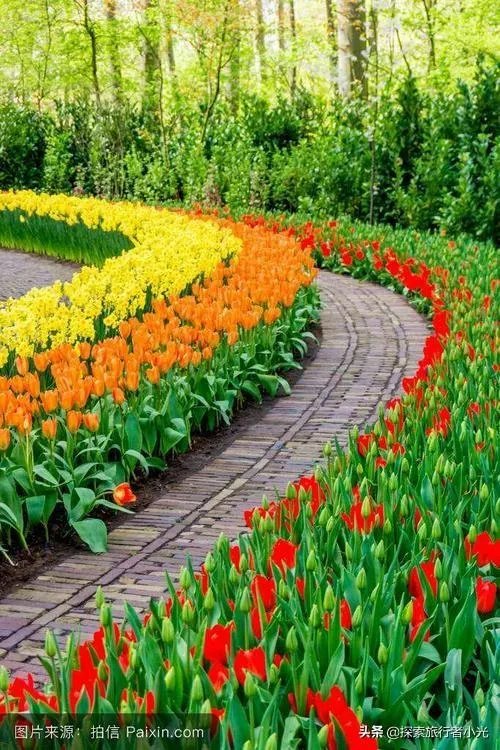 潇河湿地公园可以帐篷吗？