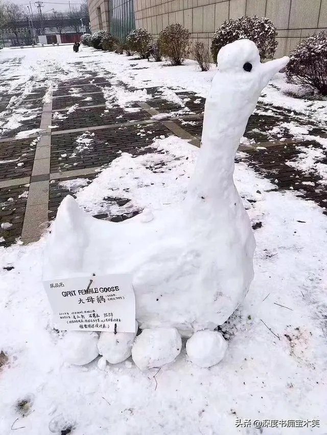 有哪些堆的雪人图片分享？