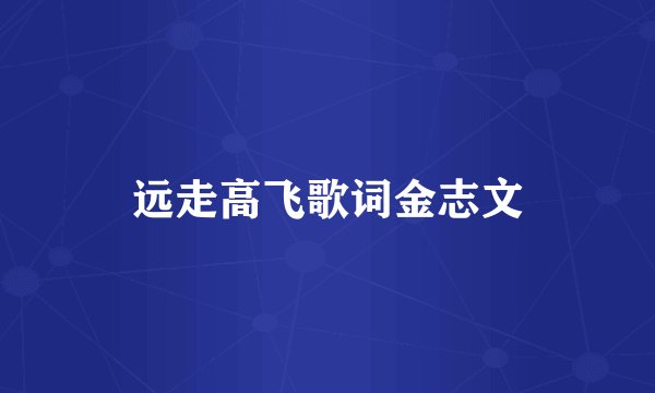 远走高飞歌词金志文